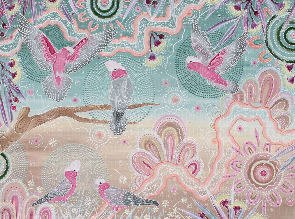 The Galah – Kilaurra